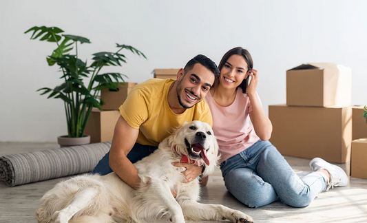 Vous cherchez un compagnon fidèle ? Adoptez un chien.